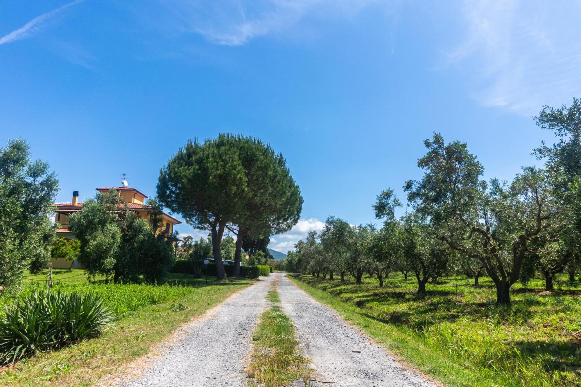 Вилла Agriturismo Il Tripesce Вада Экстерьер фото