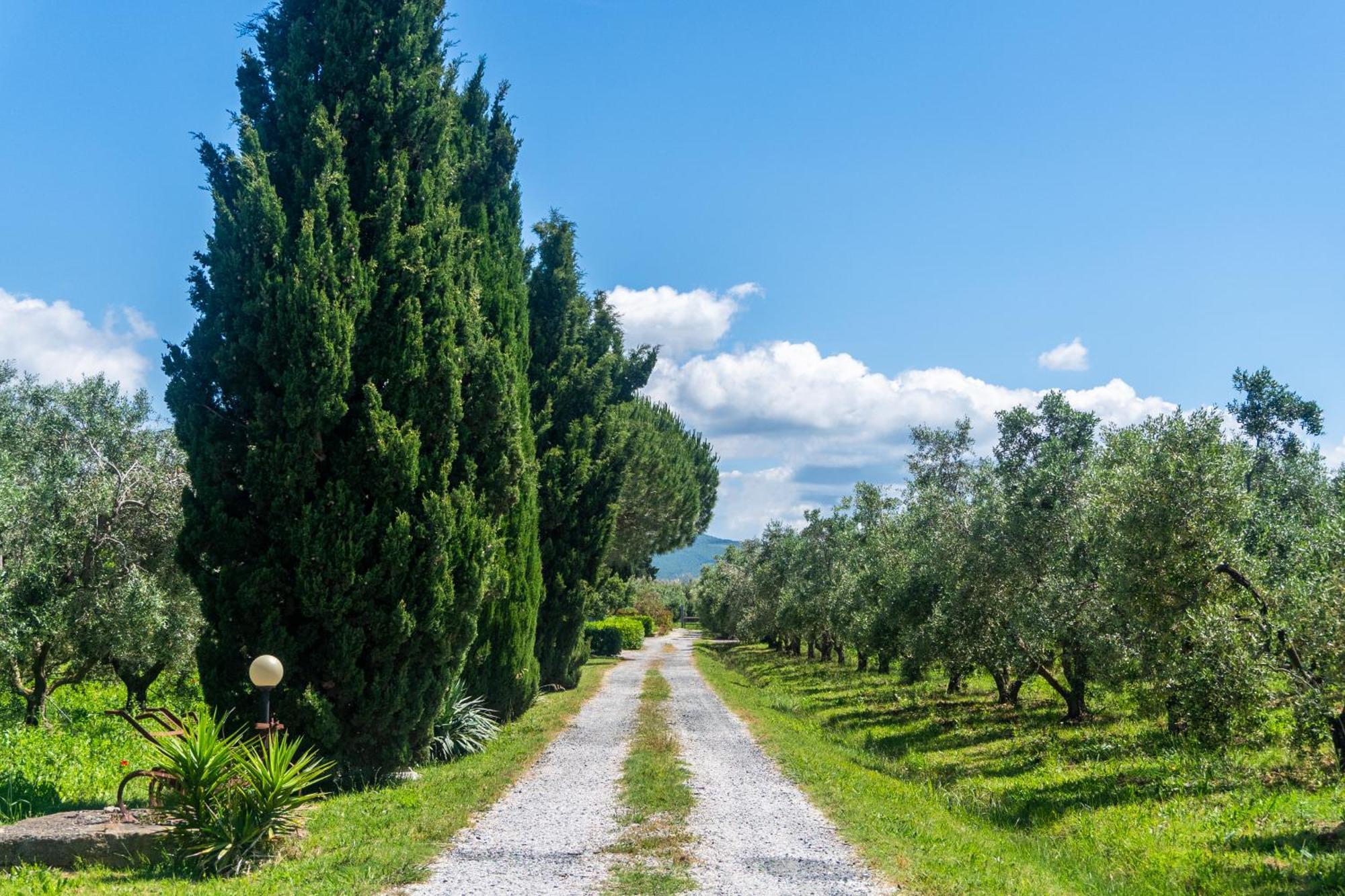 Вилла Agriturismo Il Tripesce Вада Экстерьер фото