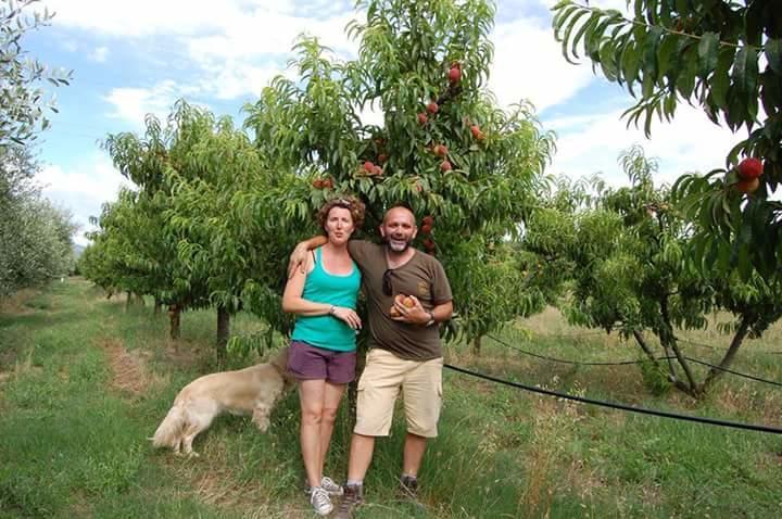 Вилла Agriturismo Il Tripesce Вада Экстерьер фото