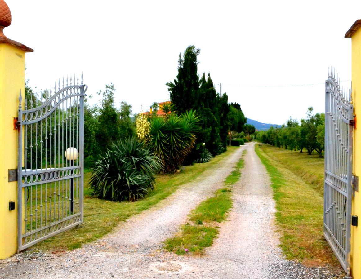 Вилла Agriturismo Il Tripesce Вада Экстерьер фото