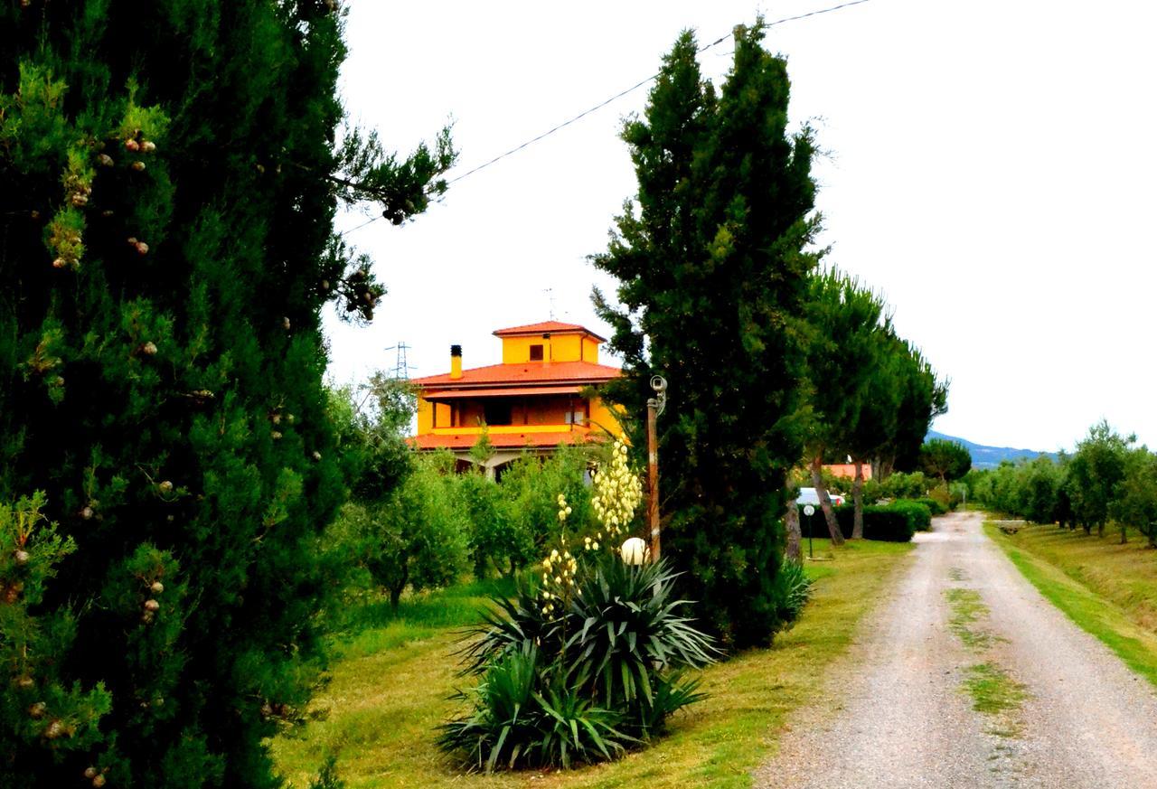 Вилла Agriturismo Il Tripesce Вада Экстерьер фото